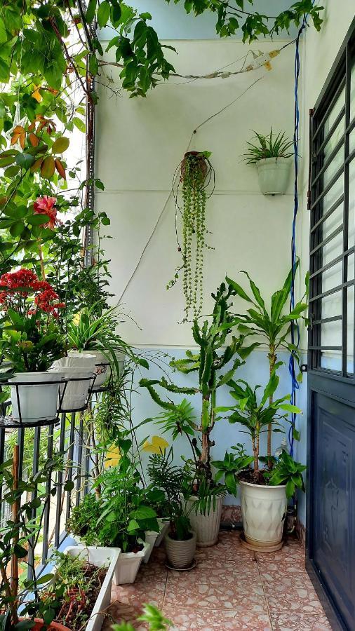 Sena Home 2Nd*Near Danang Han River*Dragon Bridge Exterior foto