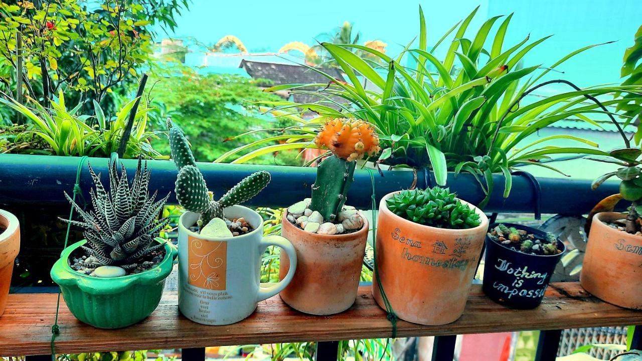 Sena Home 2Nd*Near Danang Han River*Dragon Bridge Exterior foto